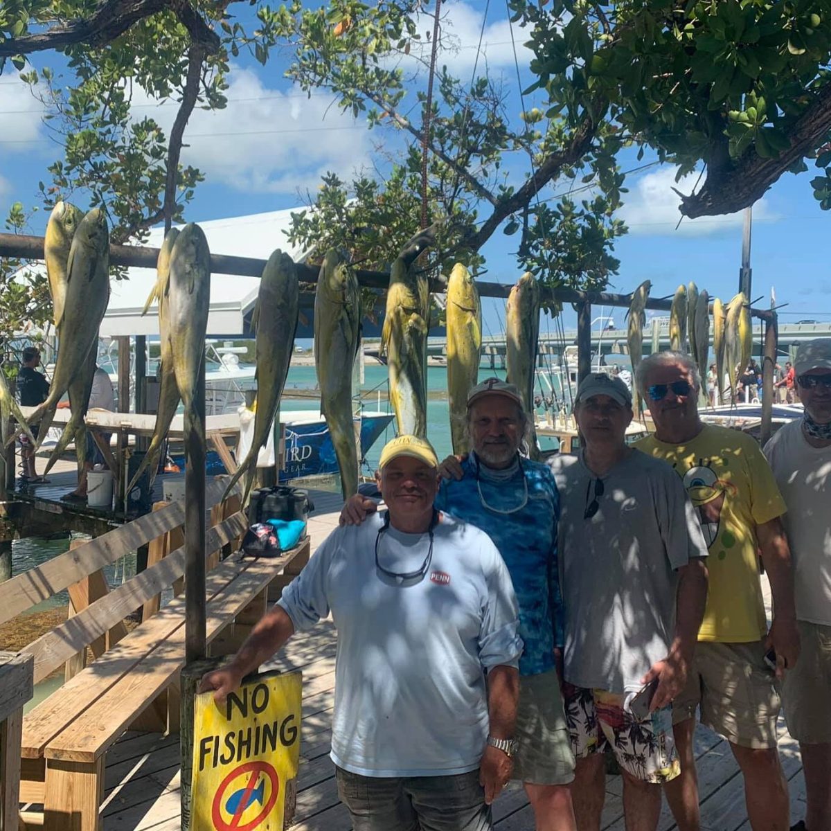 a group of people standing next to a tree